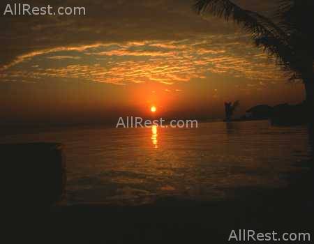 Filitheyo Island Resort 7